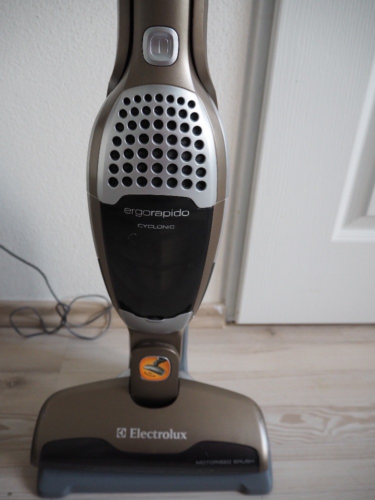 Recenze vysavače Electrolux Ergorapido ZB2901